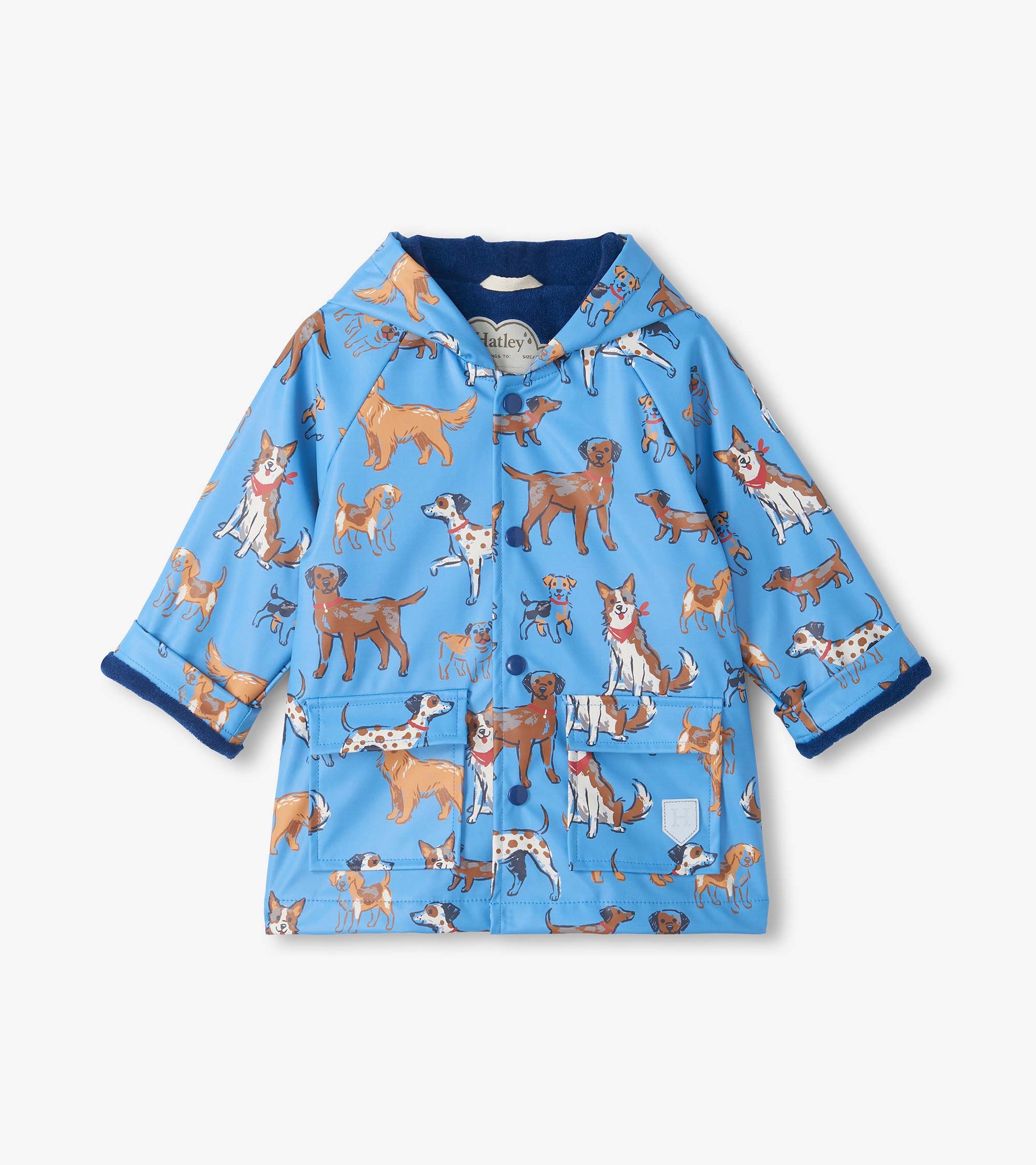 Front view of kids blue snap rain coat with hood, dog print, blue lining, and two front flap pockets