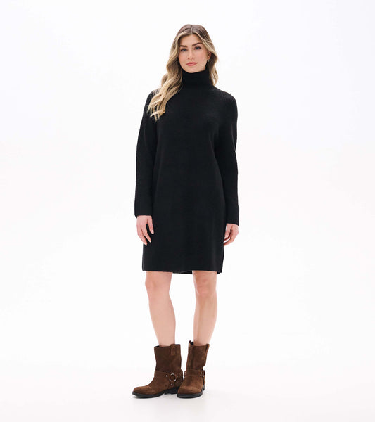 Front view of black sweater dress with turtleneck, long sleeves, and knee-length straight silhouette