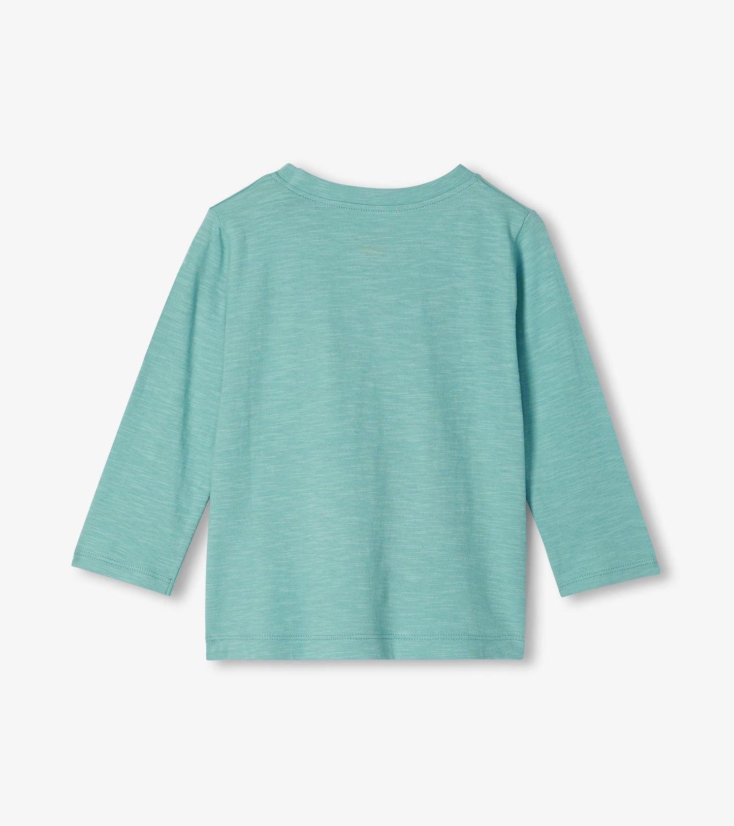 Back view of an aqua long-sleeve crew neck toddler T-shirt with a plain design
