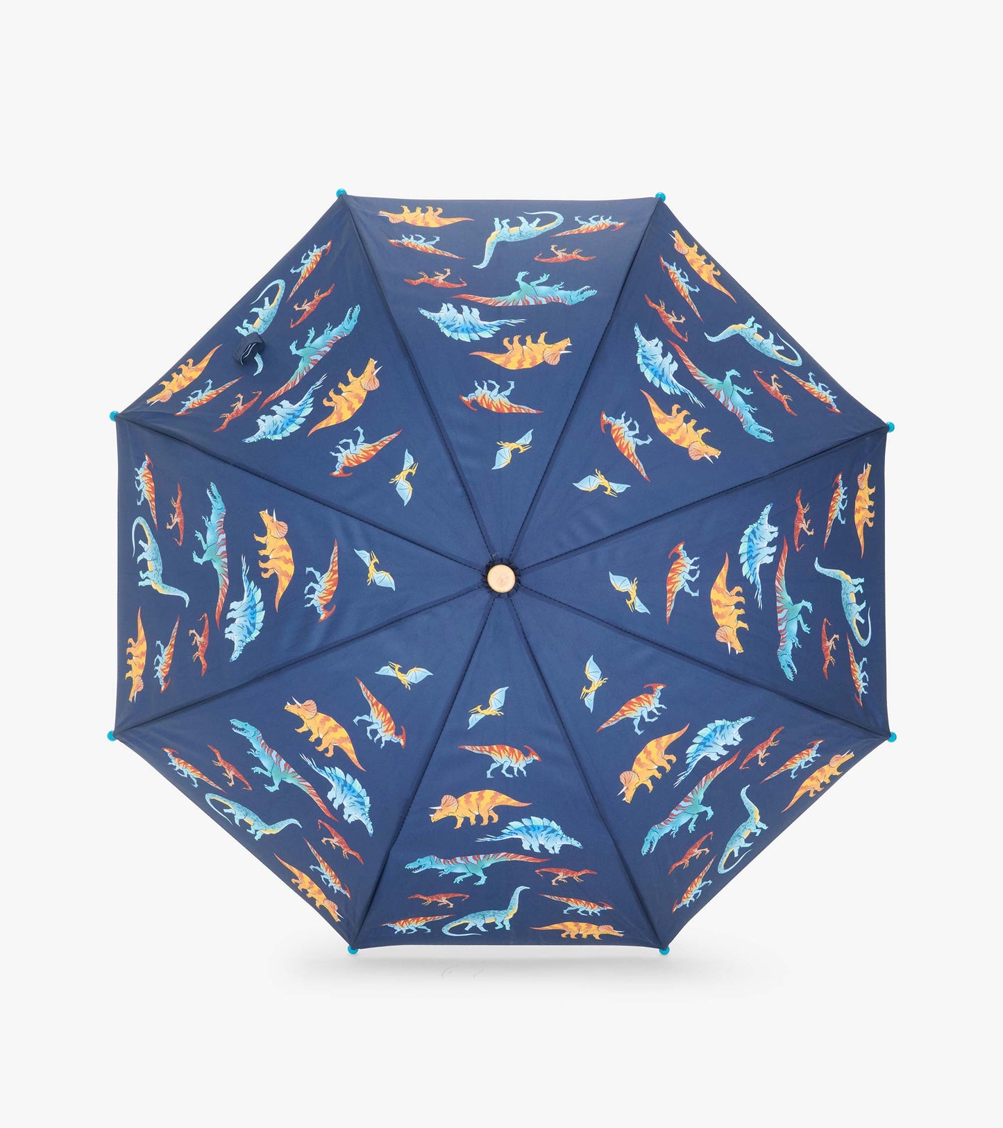 Top view of open navy umbrella covered in colorful dinosaur and flying reptile print