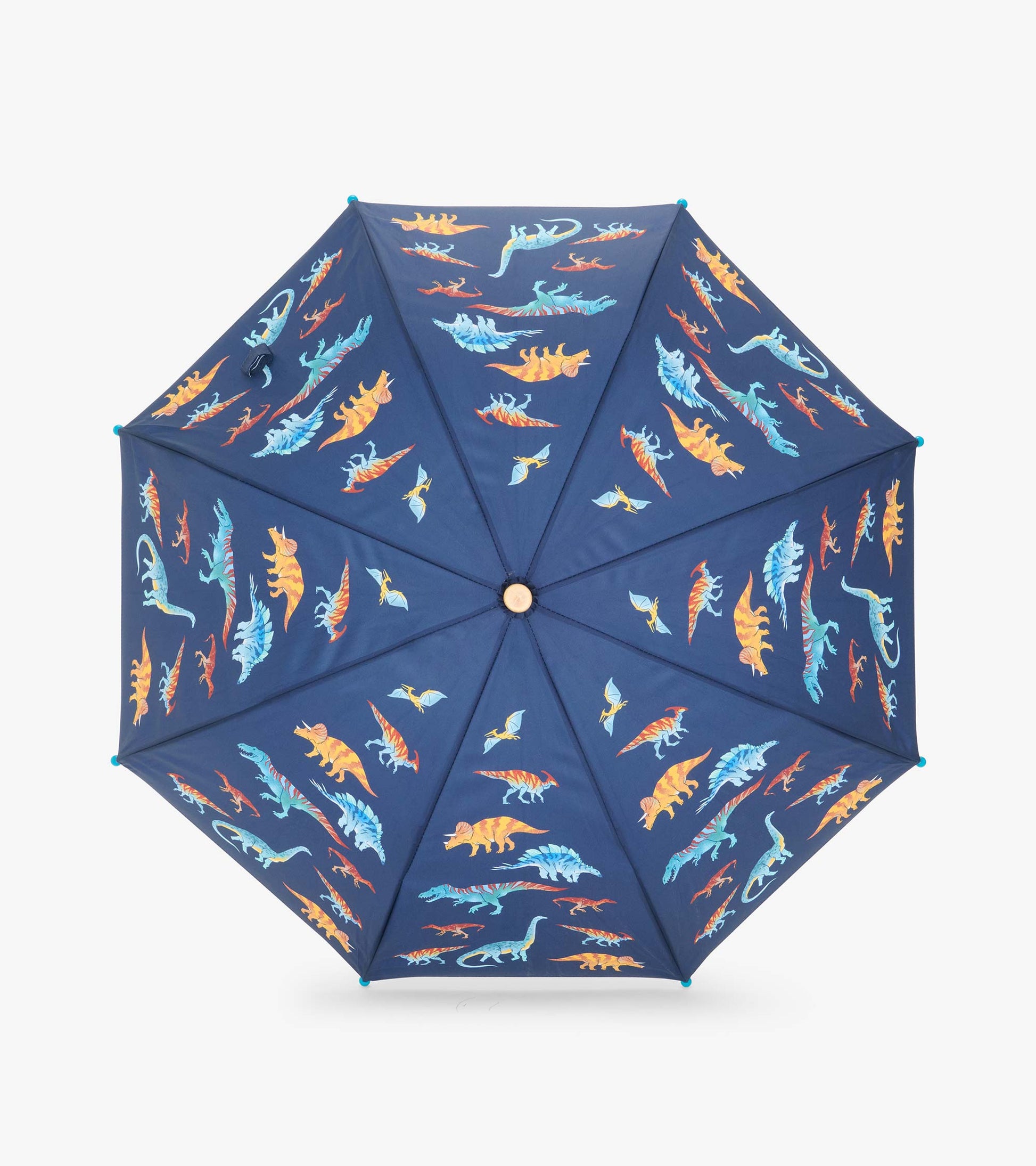 Top view of open navy umbrella covered in colorful dinosaur and flying reptile print
