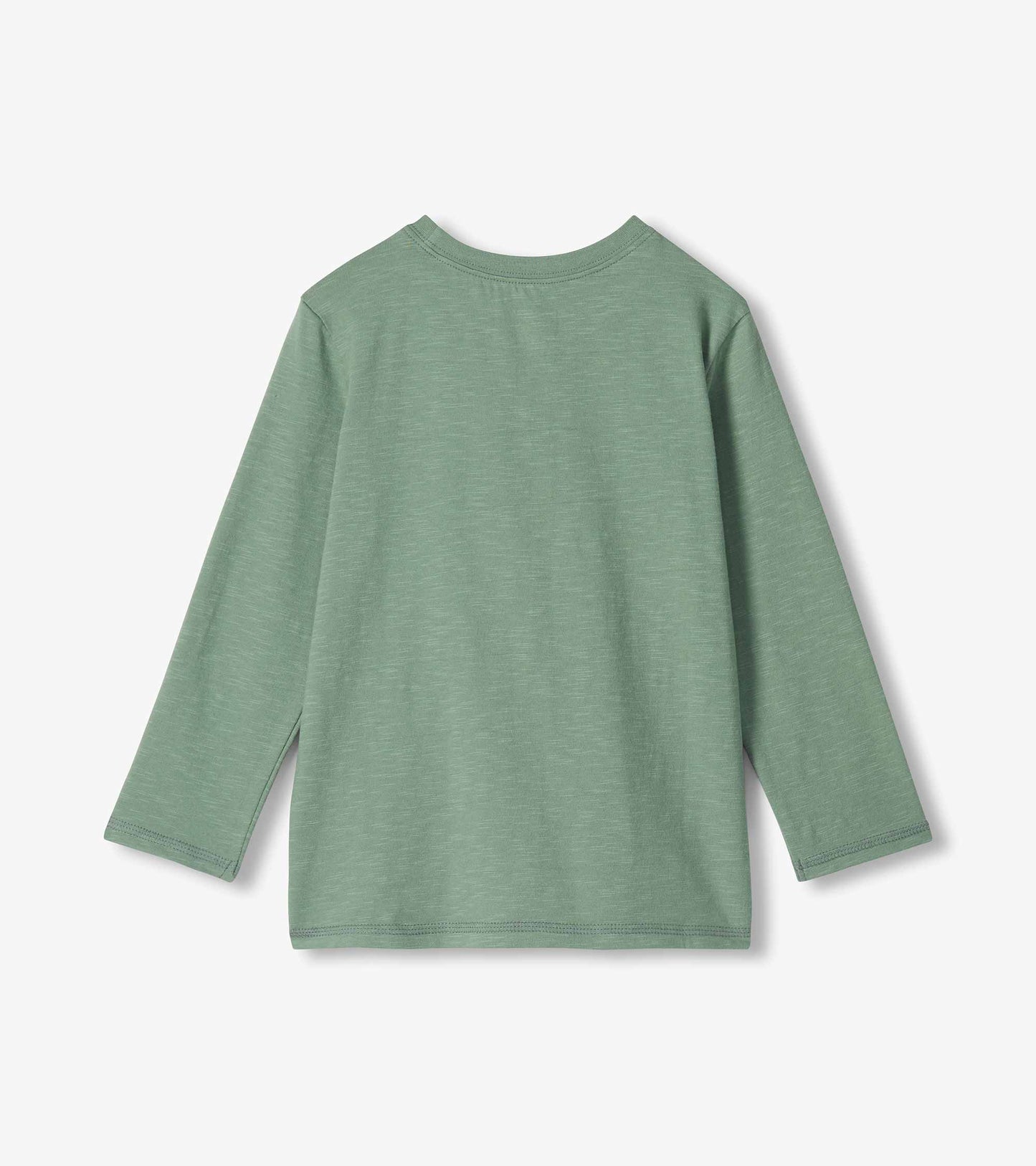 Back view of green boys long-sleeve T-shirt with plain back and crew neck