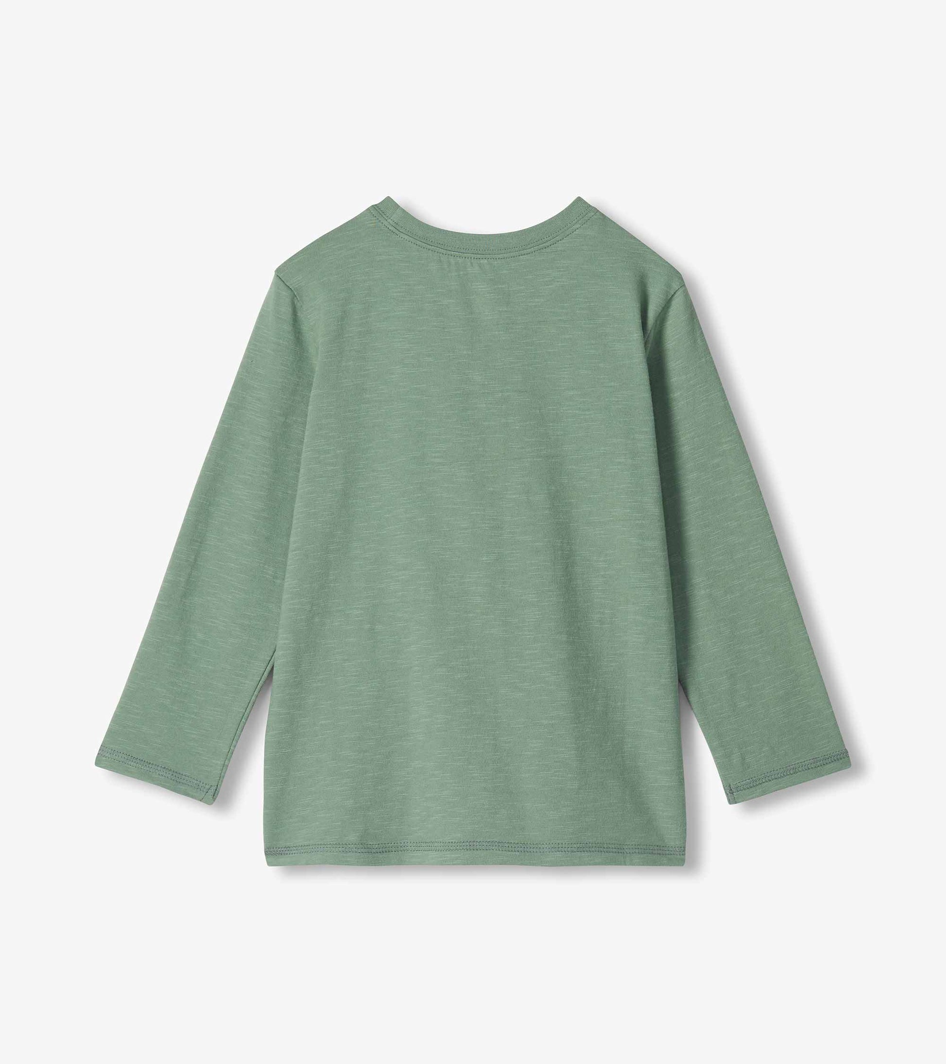 Back view of green boys long-sleeve T-shirt with plain back and crew neck