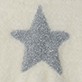 Gray glitter star on a light background