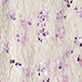 Cream textured surface with scattered purple floral dots