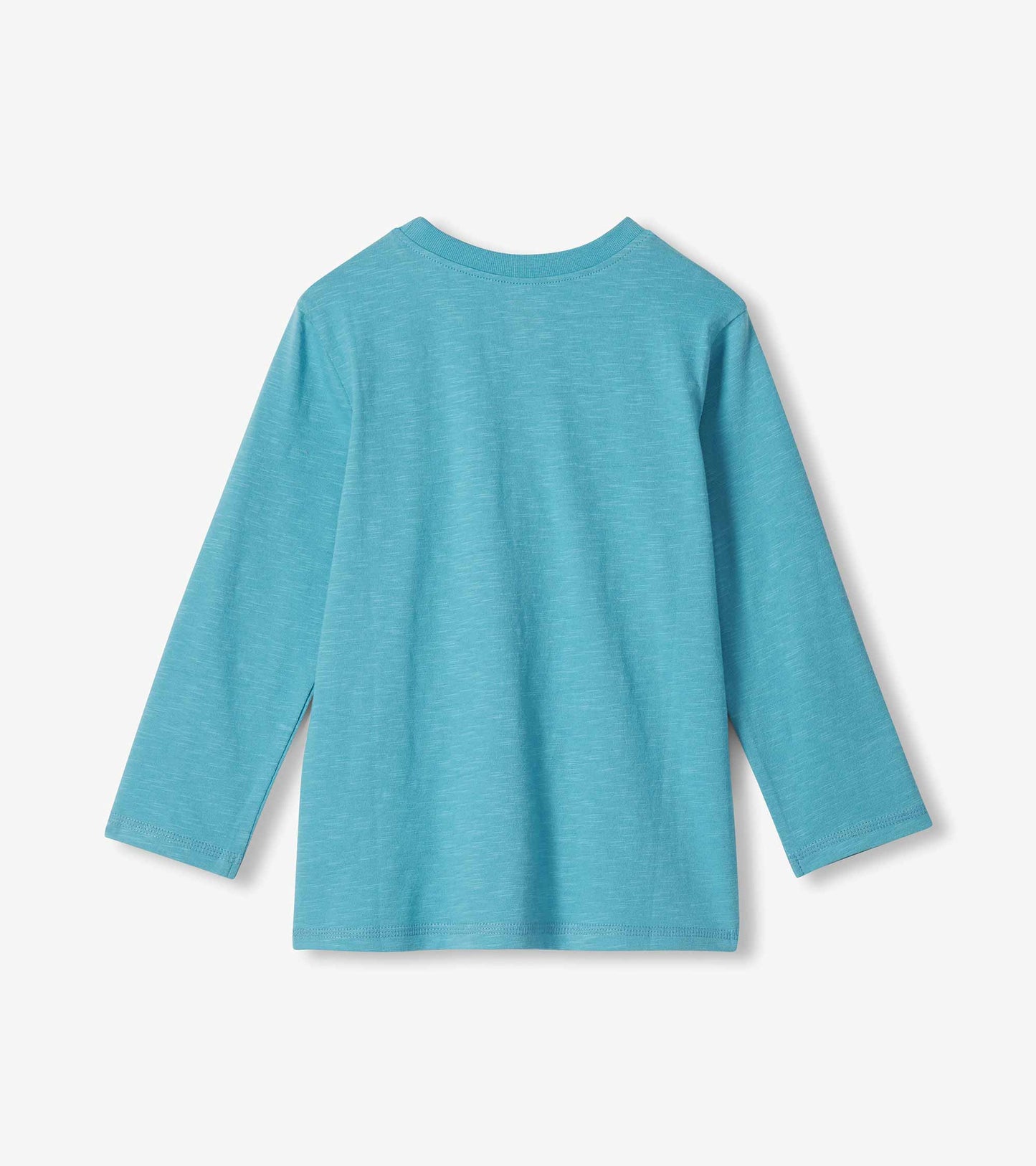 Back view of blue boys long-sleeve T-shirt with plain solid design