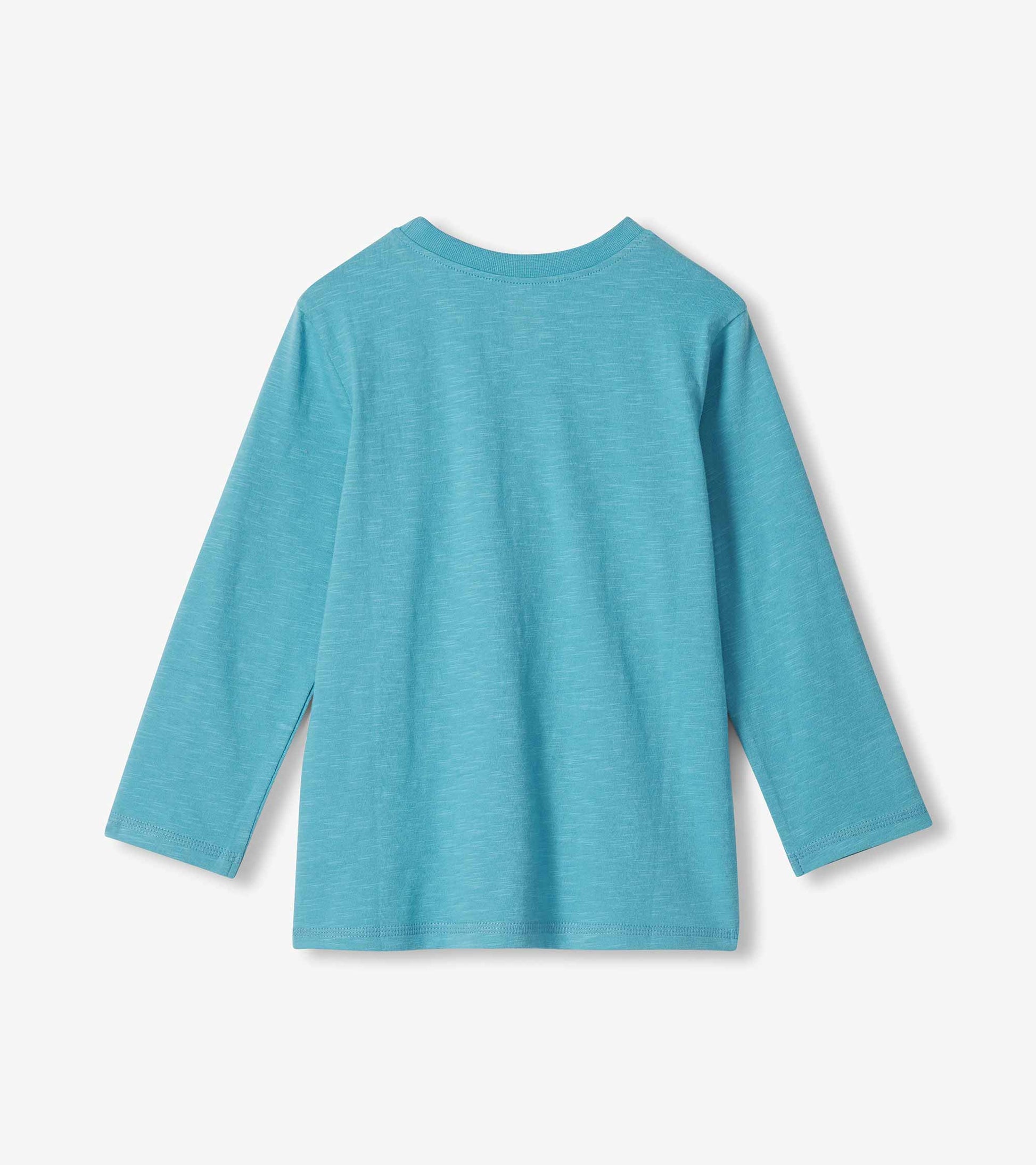 Back view of blue boys long-sleeve T-shirt with plain solid design