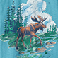 Moose standing in a forest stream with pine trees and rocks