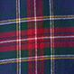 Red, green, and blue plaid fabric pattern