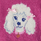 White poodle face on pink textured background