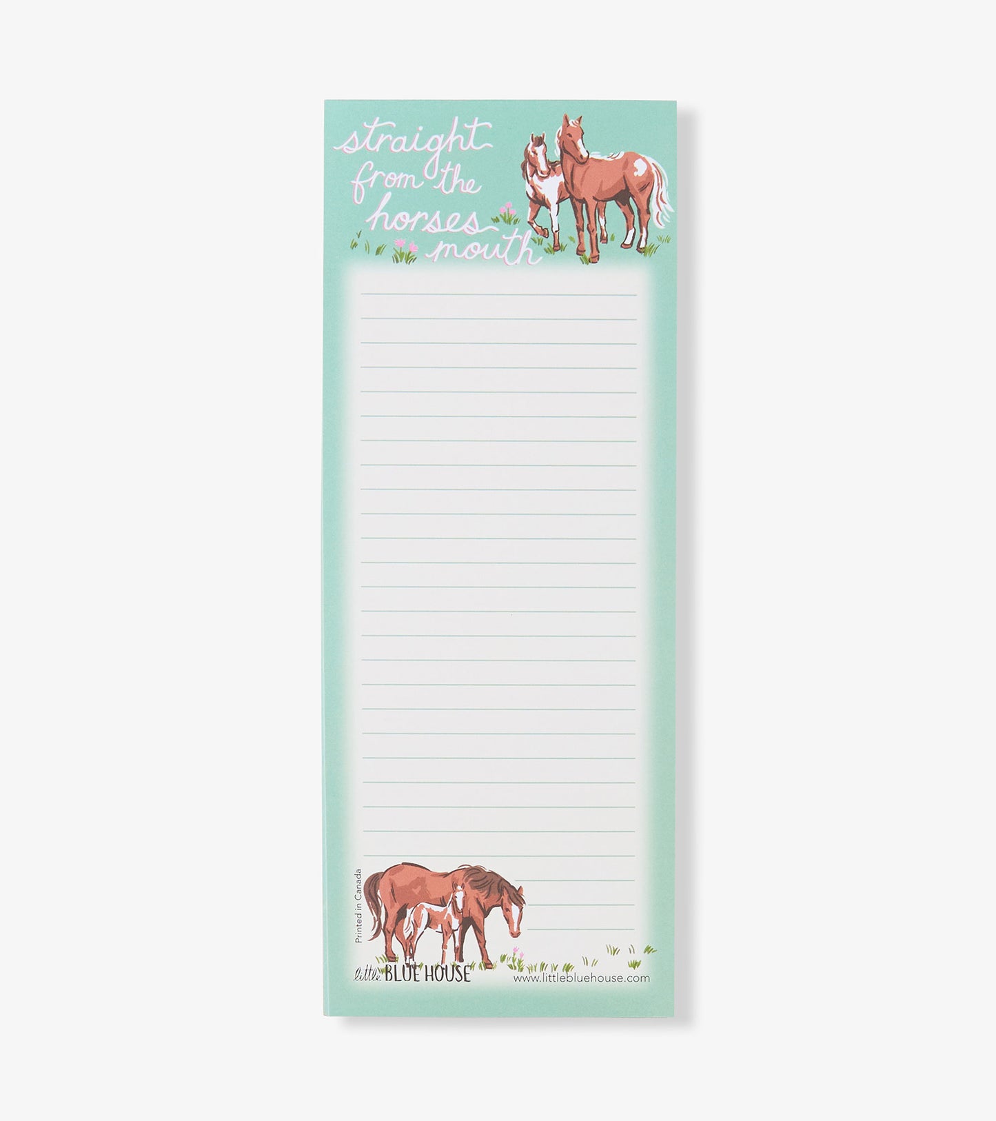 Straight From The Horses Mouth Magnetic Notepad