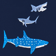 View Men's Swimming Sharks Pajama Pants - Blue whale shark with two smaller fish above on a black background