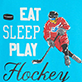 Blue and red plaid hockey player silhouette with teal text reading EAT SLEEP PLAY Hockey