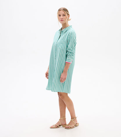 Julia Shirt Dress - Arcadia Stripes
