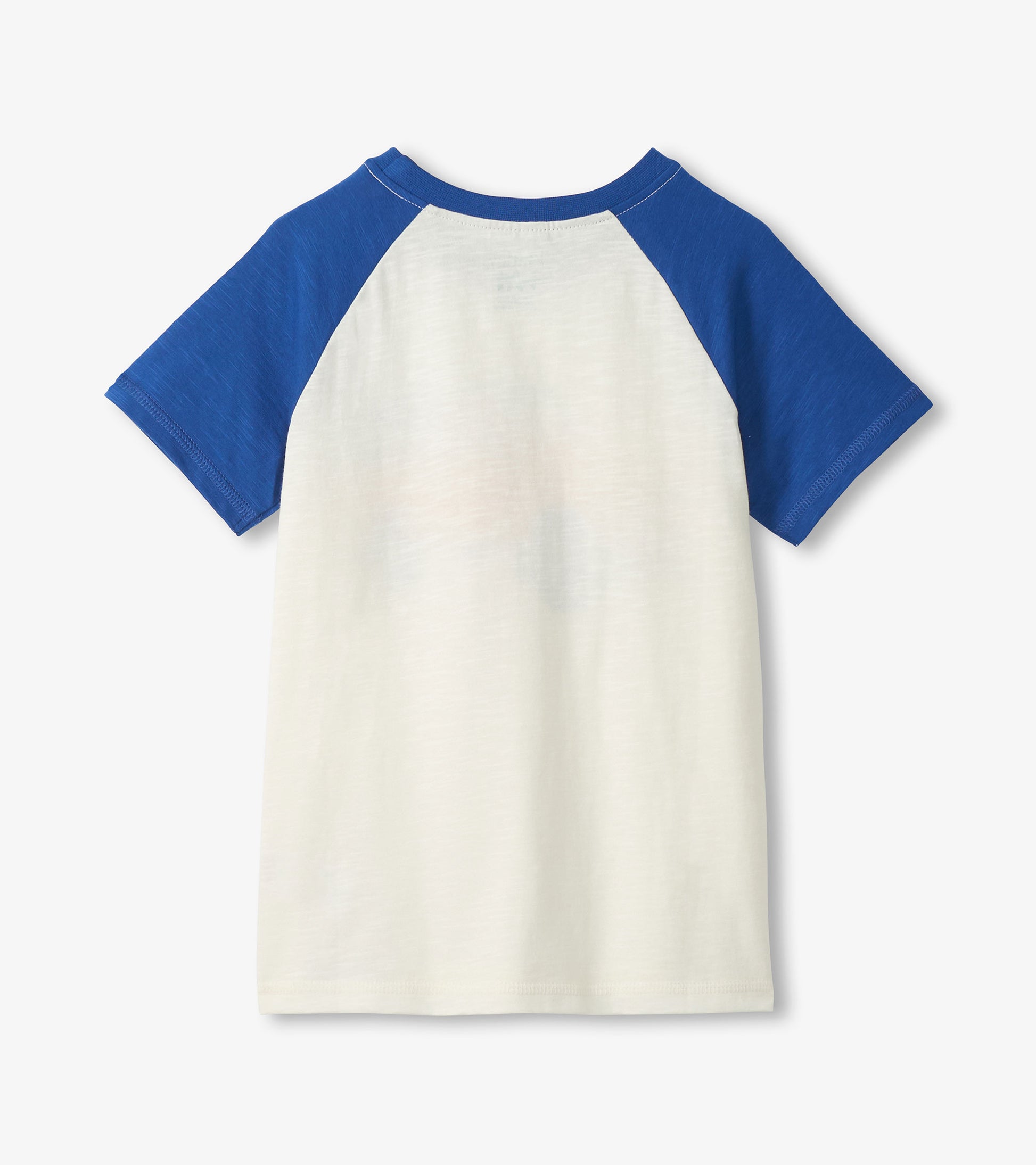 White and blue short-sleeve raglan cotton T-shirt, front view