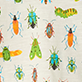 View Baby & Toddler Boys Colourful Insects T-Shirt - Collection of colorful insect illustrations including beetles, butterflies, and grasshoppers on a white background