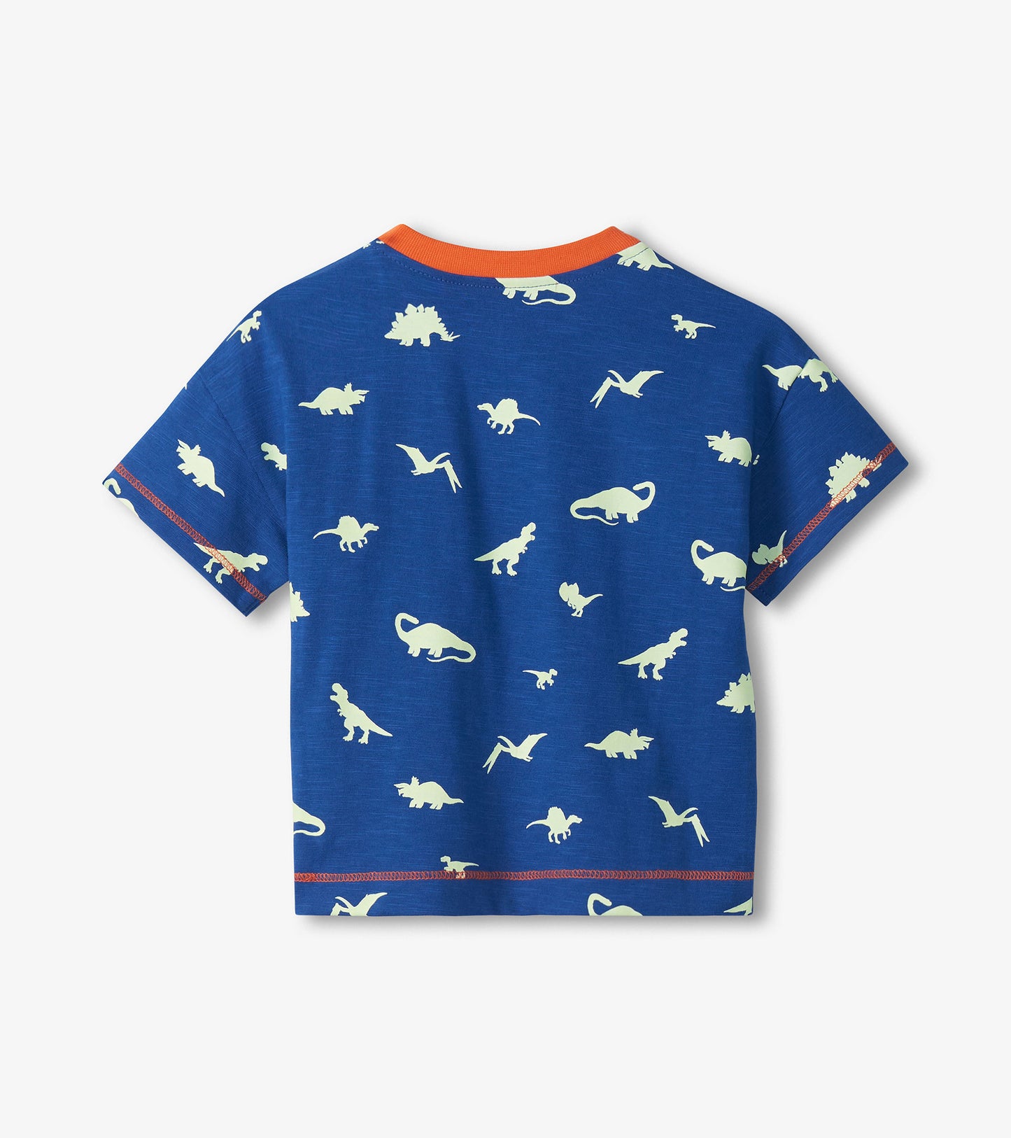 Baby & Toddler Boys Glow in the Dark Dinos T-Shirt