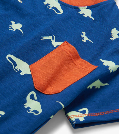 Baby & Toddler Boys Glow in the Dark Dinos T-Shirt
