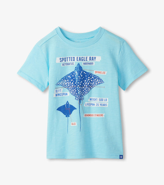Light blue short-sleeve boys T-shirt with front spotted eagle ray graphic and text print