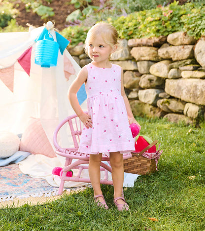 Baby & Toddler Girls Gingham Berries Party Dress