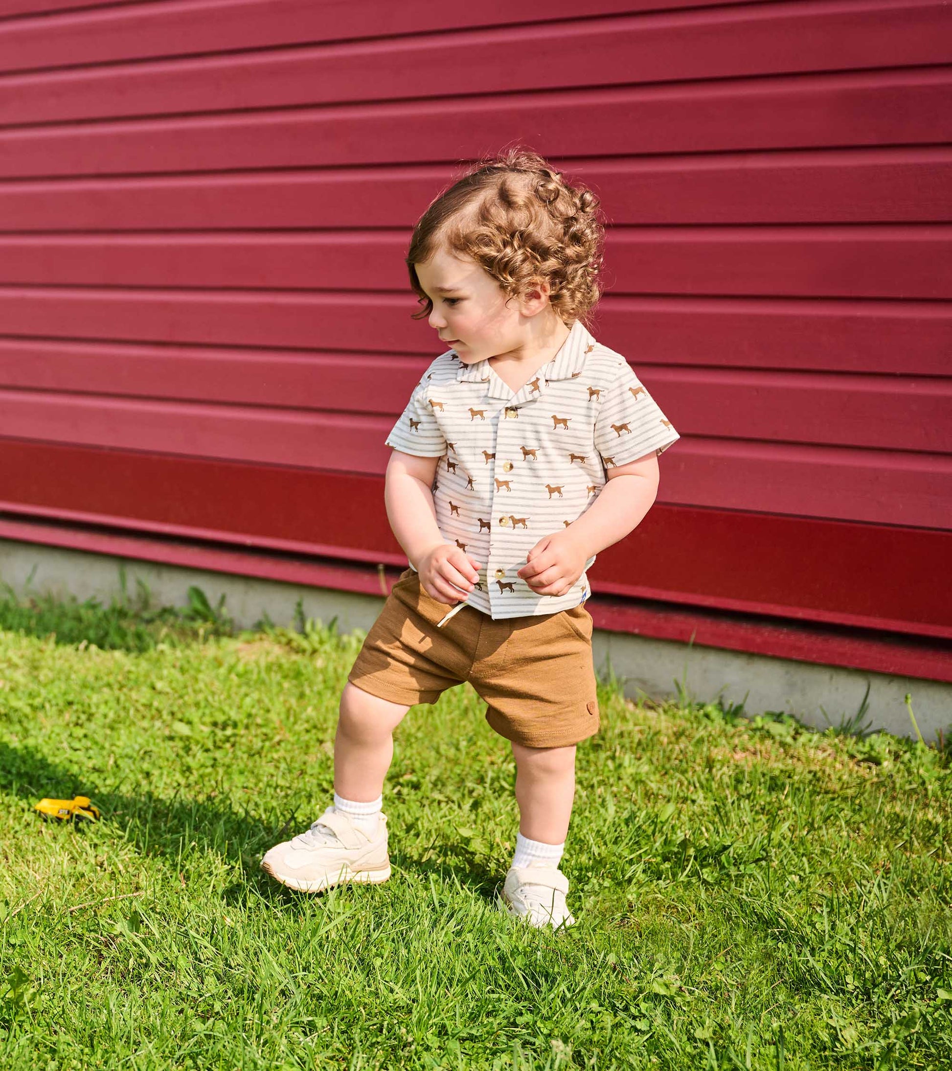 Toddler boy wearing brown pull-on shorts with a striped dog-print shirt, standing outdoors on grass