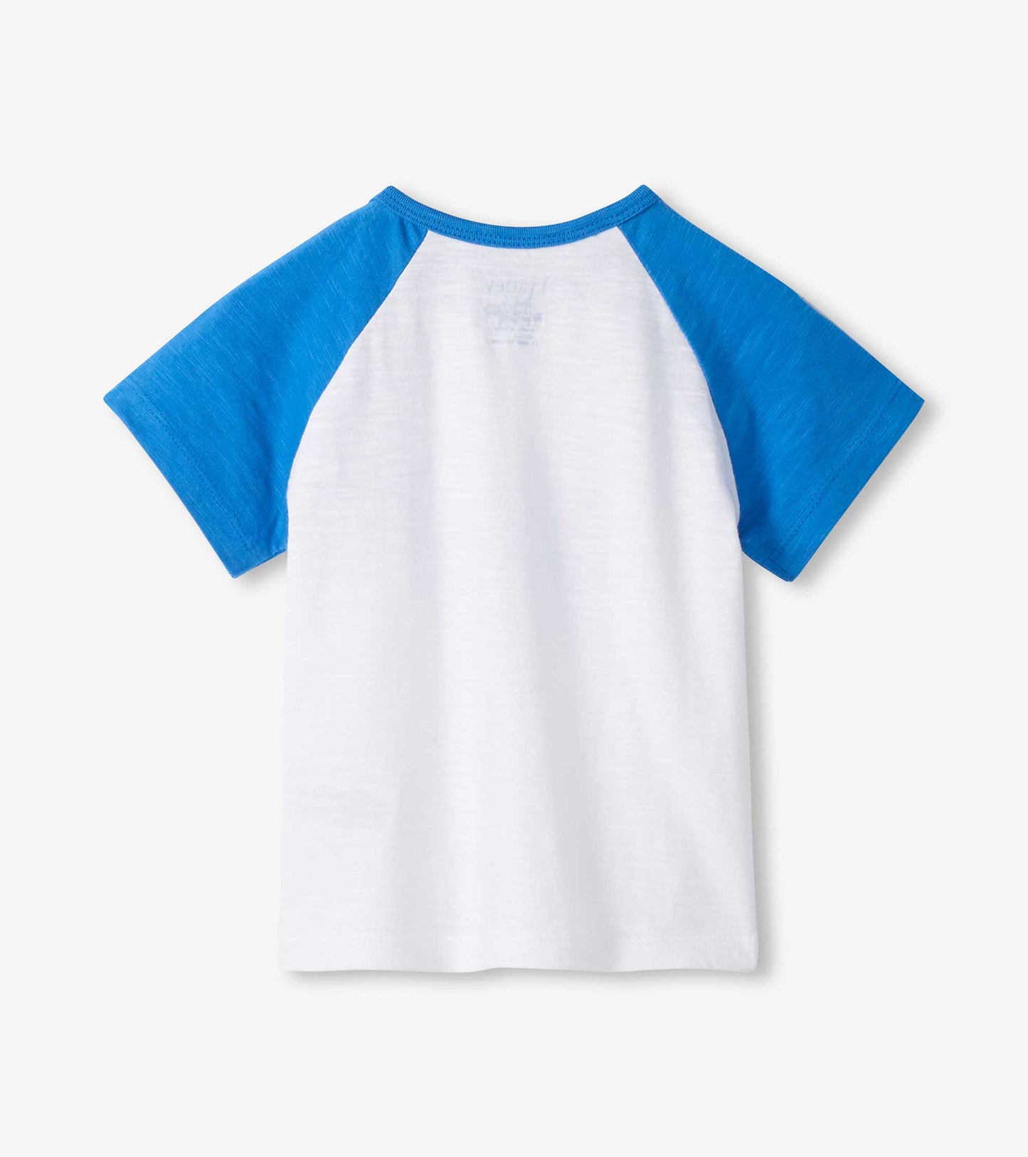Baby & Toddler Boys Spouting Whale Raglan T-Shirt