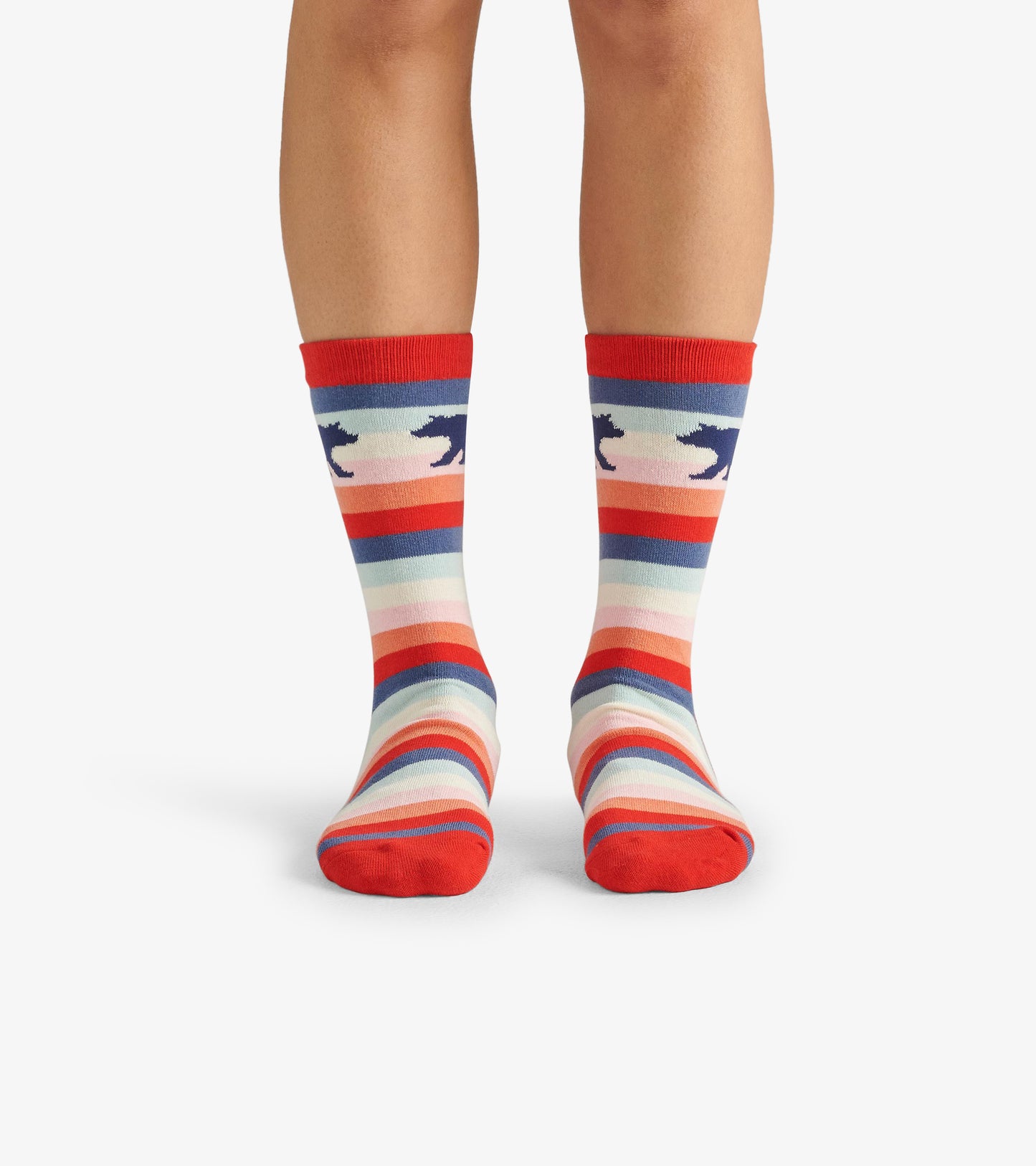 Chaussettes pour femme – Ours sur rayures colorées