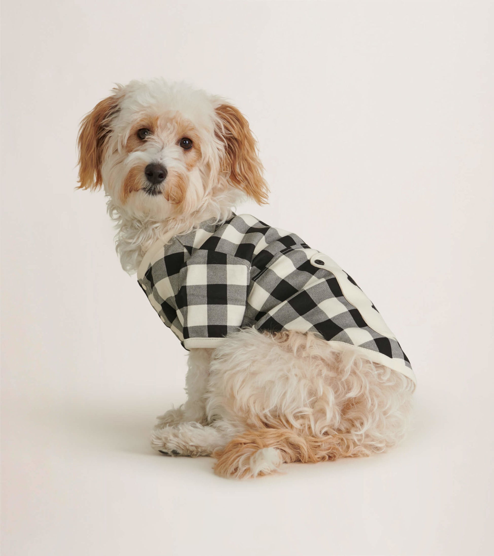 Cream plaid dog tee with short sleeves, featuring a button detail, worn by a fluffy dog in a side view.