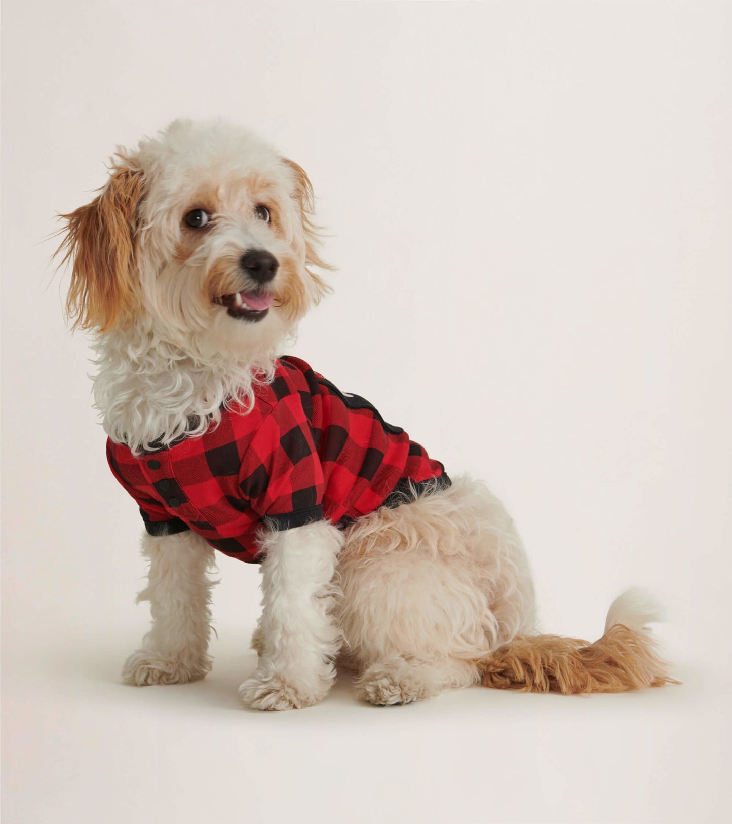 Red and black plaid dog tee with short sleeves, featuring buttons, worn by a fluffy dog sitting sideways.