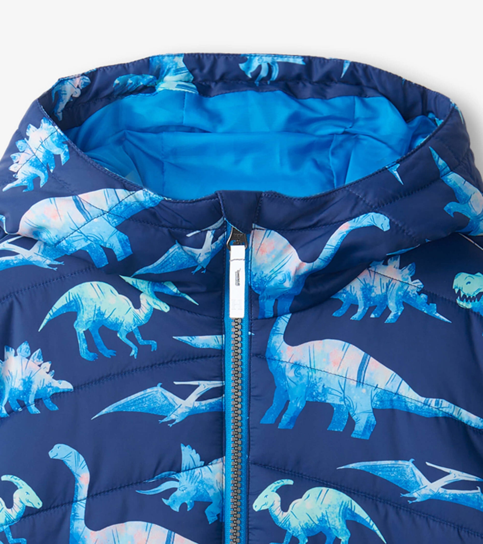 Dinosaur Kids Puffer Jacket - Main Image