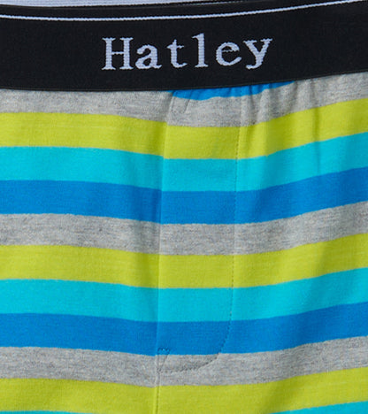Colorful striped boxer briefs featuring blue, green, and gray hues with a black waistband.