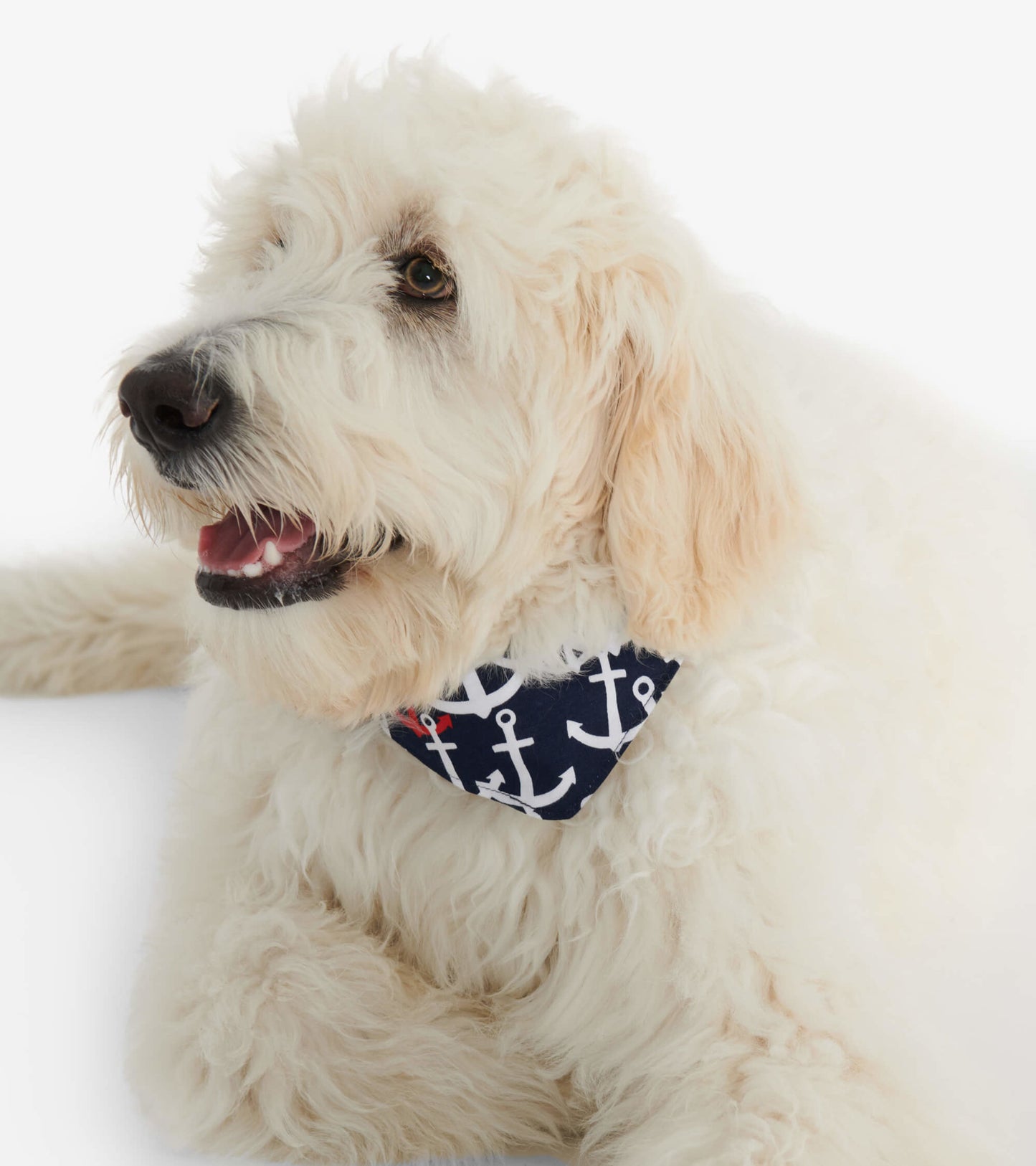 Bandana réversible pour chien – Ancres nautiques