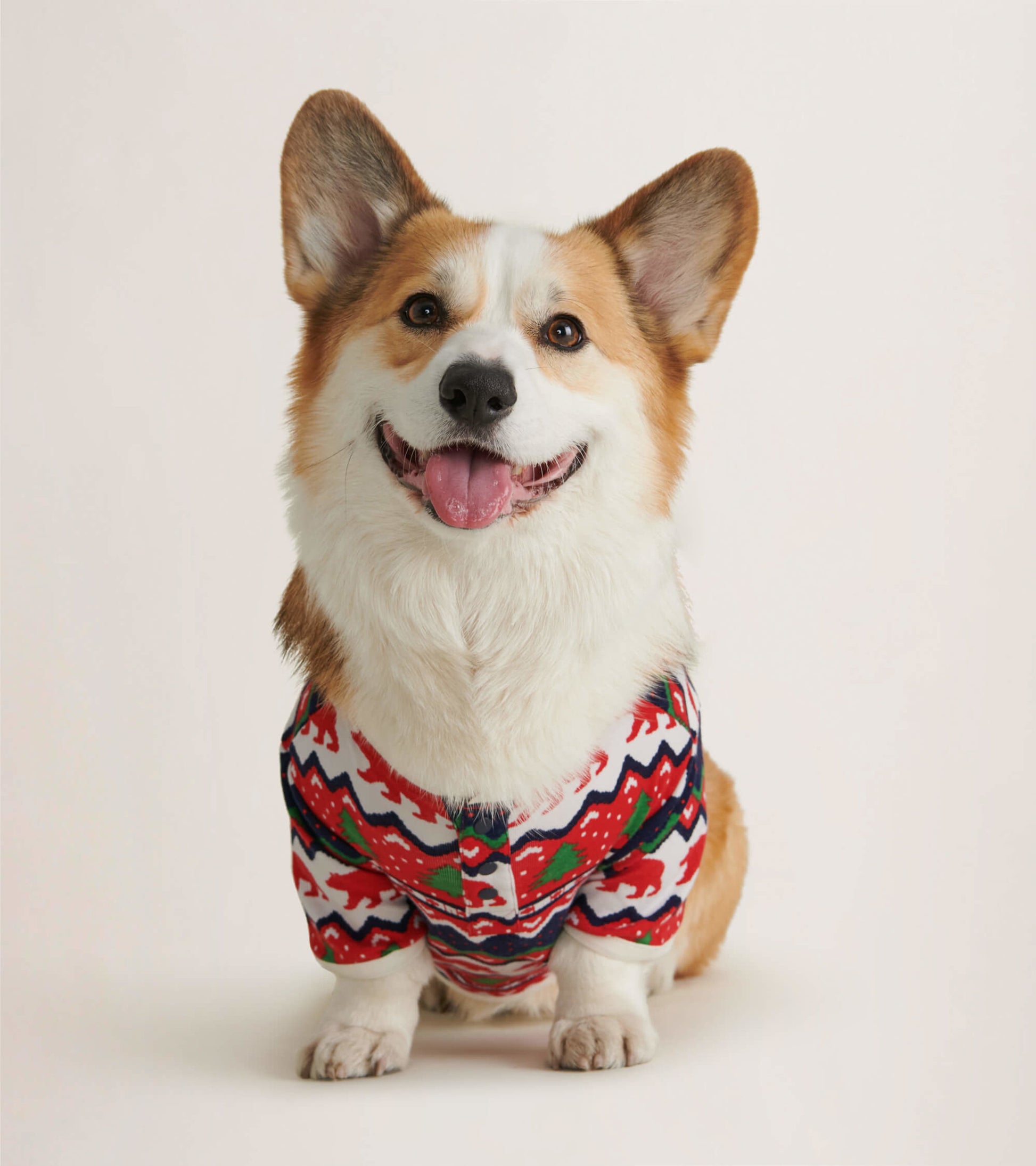 Red and white Fair Isle patterned dog tee featuring bear motifs, worn by a smiling corgi.